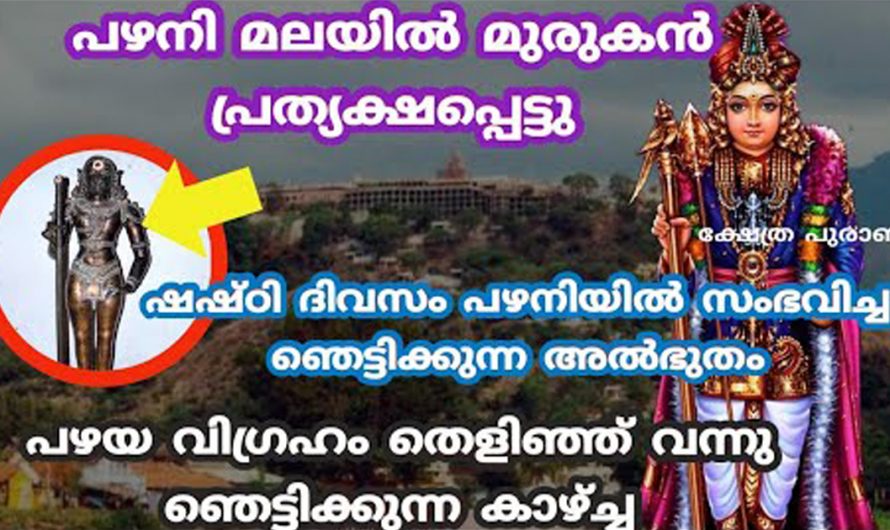 ഒമ്പത് വിശിഷ്ട പാഷാണങ്ങളാൽ നിർമ്മിതമാണ് പഴനിയിലെ ഭഗവാന്റെ വിഗ്രഹം