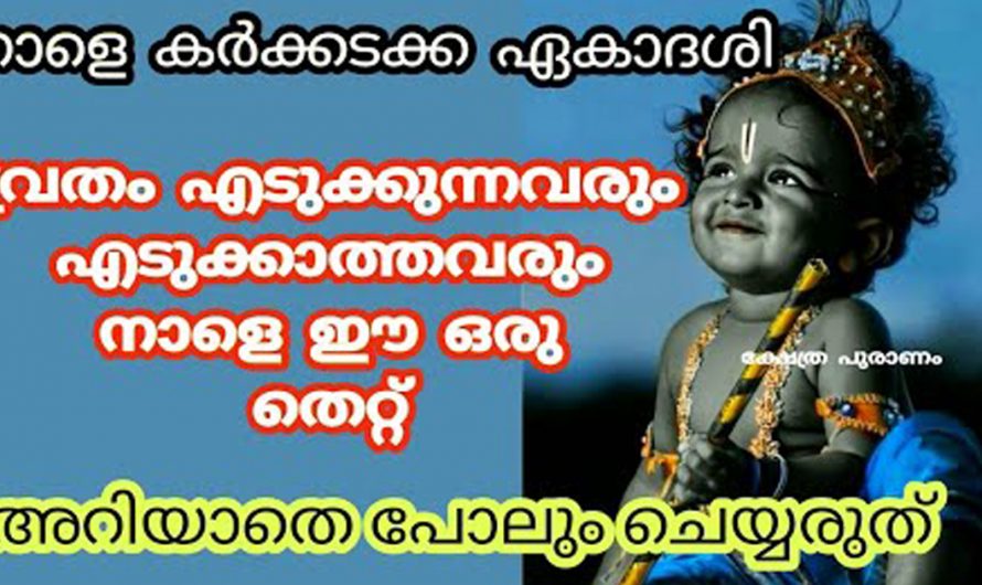 പത്മിനി ഏകദേശി ദിവസം ഈ കാര്യങ്ങൾ വീടുകളിൽ ചെയ്യരുത്