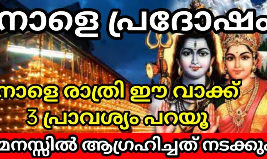 കർക്കിടക മാസത്തിലെ പ്രദോഷ ദിവസം ഇങ്ങനെ പ്രാർത്ഥിച്ചാൽ എല്ലാ രീതിയിലും അനുഗ്രഹങ്ങൾ ഉണ്ടാകും