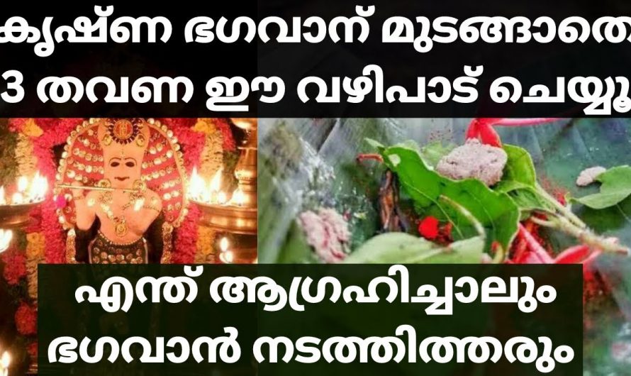 ശ്രീകൃഷ്ണ ഭഗവാന് മുടങ്ങാതെ മൂന്ന് തവണ ഈ വഴിപാടുകൾ ചെയ്താൽ നിങ്ങളുടെ ജീവിതം തന്നെ മാറിമറിയും