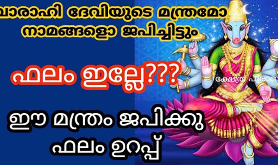 വരാഹിദേവിയോട് ഈ മന്ത്രം ജപം പറഞ്ഞ് പ്രാർത്ഥിക്കുകയാണ് എന്നുണ്ടെങ്കിൽ ഏതു തടസവും മാറി കിട്ടുന്നതാണ്