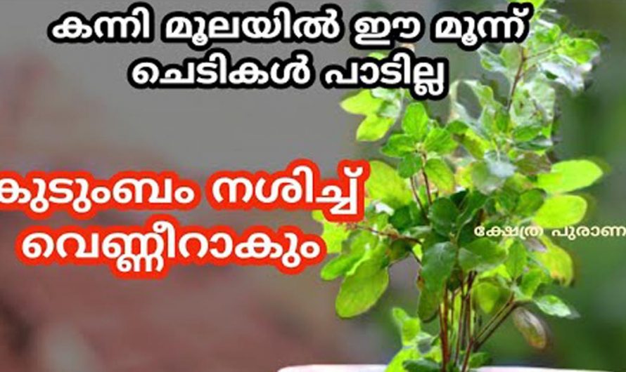 നിങ്ങളുടെ വീടിന്റെ കന്നിമൂലയിൽ ഇത്തരത്തിൽ ഏതെങ്കിലും പറയുന്ന ലക്ഷണങ്ങൾ ഉണ്ടോ എങ്കിൽ തീർച്ചയായും നിങ്ങൾ സൂക്ഷിക്കുക