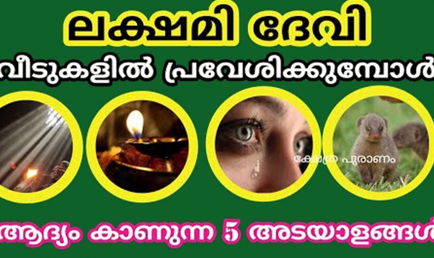 ലക്ഷ്മിദേവിയുടെ അനുഗ്രഹം ഉള്ള വീടുകളിൽ കാണുന്ന ചില ലക്ഷണങ്ങൾ