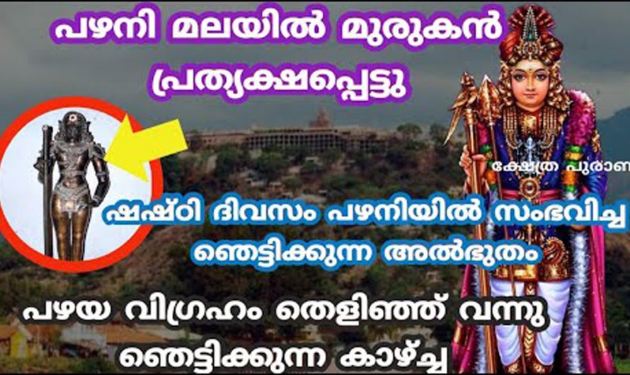 പഴനി മുരുകന്റെ അവർ പ്രതിഷ്ഠയെ കുറിച്ച് കേട്ടപ്പോൾ ഭക്തർ വരെ ഞെട്ടി വിറച്ചു