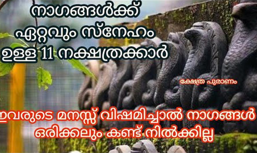 ഈ പറയുന്ന നക്ഷത്രക്കാർ നാഗ ദൈവങ്ങളെ വിളിച്ച് പ്രാർത്ഥിക്കുകയാണ് എന്നുണ്ടെങ്കിൽ ഏത് ആഗ്രഹവും സാധിച്ചു കിട്ടും