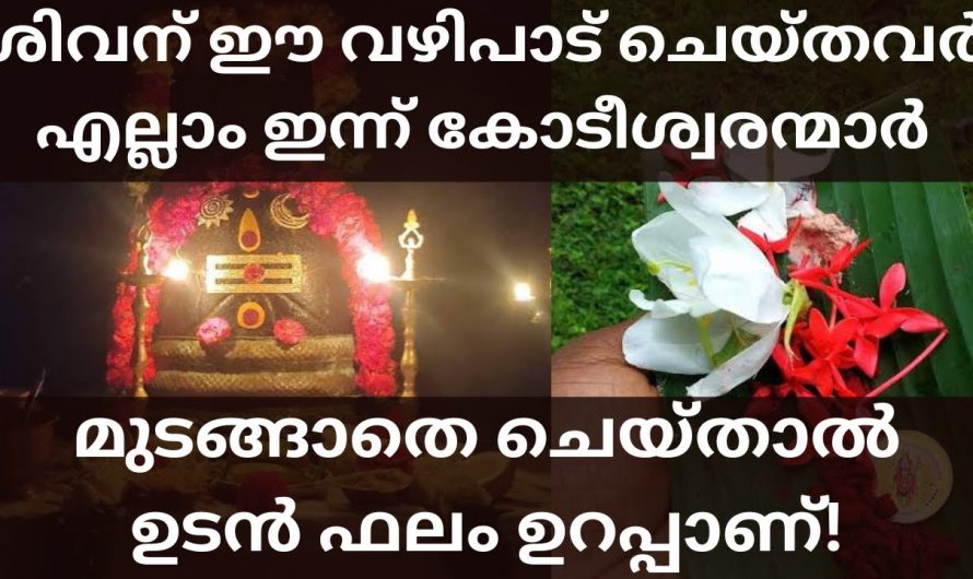 ശിവക്ഷേത്രത്തിൽ ഈ വഴിപാടുകൾ മുടങ്ങാതെ ചെയ്തു നോക്കൂ നിങ്ങടെ ജീവിതത്തിൽ വലിയ മാറ്റങ്ങൾ കാണാം