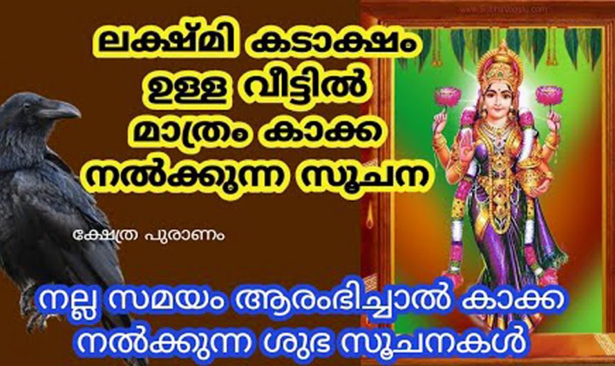 നിങ്ങളുടെ വീടുകളിൽ ഇത്തരത്തിലുള്ള ലക്ഷണങ്ങൾ കാണുന്നുണ്ടോ എന്നാൽ ലക്ഷ്മി കടാക്ഷം നിങ്ങളുടെ വീടുകളിൽ എത്തി എന്ന് വേണം കരുതാൻ