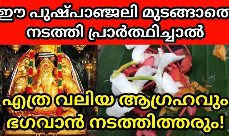 നിങ്ങളുടെ ആഗ്രഹങ്ങൾ സാധിച്ചു കിട്ടുന്നതിനായി ഇത്തരത്തിലുള്ള അത്ഭുത വഴിപാടുകൾ ചെയ്താൽ മാത്രം മതി തീർച്ചയായും നിങ്ങൾക്ക് ഫലം ലഭിക്കും