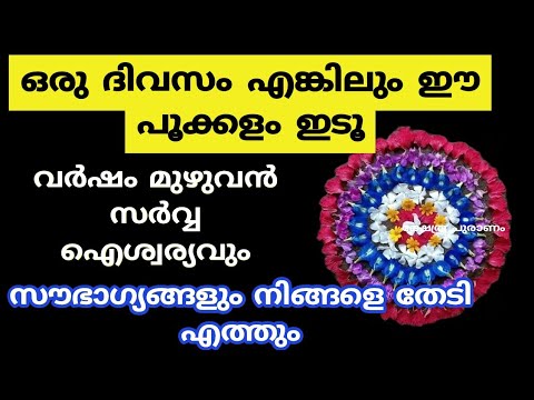 വീടുകളിൽ പൂക്കളം ഒരുക്കുമ്പോൾ ഒരു ദിവസം നിങ്ങളുടെ സാമ്പത്തിക ഐശ്വര്യത്തിന് വേണ്ടി ഇങ്ങനെ പൂക്കളം ഒരുക്കുക