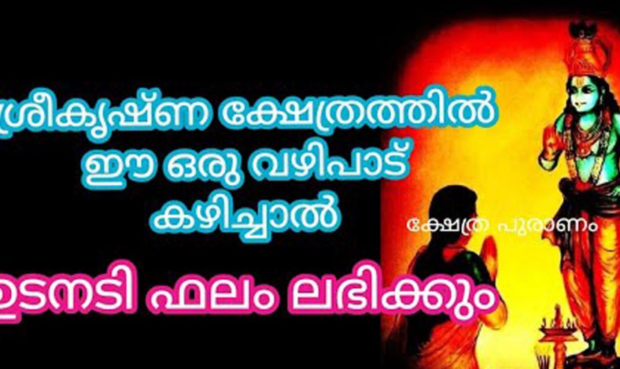 ശ്രീകൃഷ്ണ ഭഗവാൻ ഈ വഴിപാട് നടത്തി കഴിഞ്ഞാൽ നിങ്ങൾക്ക് നല്ലകാലം ആരംഭം എന്ന് വേണം പറയാൻ