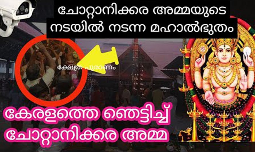 ചോറ്റാനിക്കരയിൽ നടന്ന ഈ ഒരു സംഭവം ഏവരെയും ഞെട്ടിപ്പിക്കുന്ന ഒന്നു തന്നെയാണ്