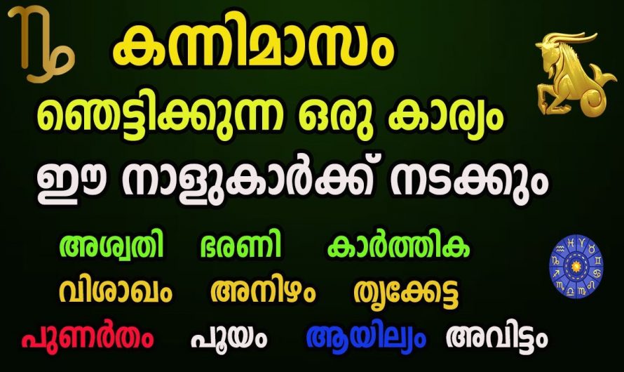 കന്നിമാസം ആരംഭിക്കുന്നതോടുകൂടി ഈ നക്ഷത്രക്കാർക്ക് രാജയോഗം ആരംഭിക്കുന്നു എന്ന് വേണമെങ്കിൽ പറയാം