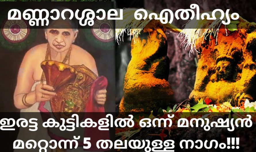 മണ്ണാറശാല എങ്ങനെയാണ് ഉണ്ടായത് എന്നറിഞ്ഞു കഴിഞ്ഞാൽ നിങ്ങൾ ഏവരും ഞെട്ടുന്നതാണ്