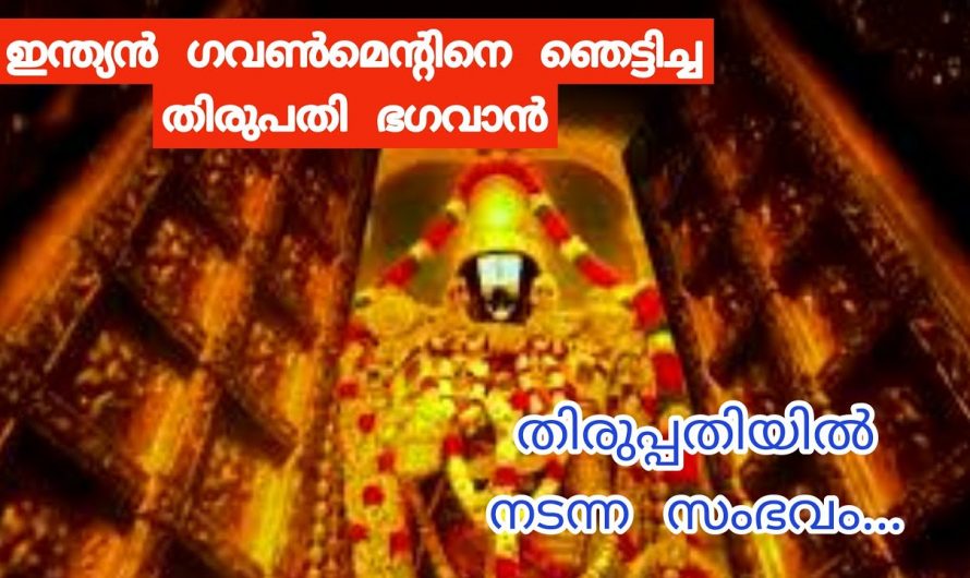 തിരുപ്പതിയിൽ നടന്ന വളരെ വലിയൊരു അനുഭവം ആരായാലും ഞെട്ടിപ്പോകും