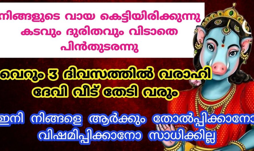 വരാഹിദേവിയോട് ഈ സമയത്ത് നിങ്ങൾ പ്രാർത്ഥിച്ചു നോക്കൂ തീർച്ചയായും നിങ്ങളുടെ ആഗ്രഹം സാധിച്ചു കിട്ടുന്നതാണ്