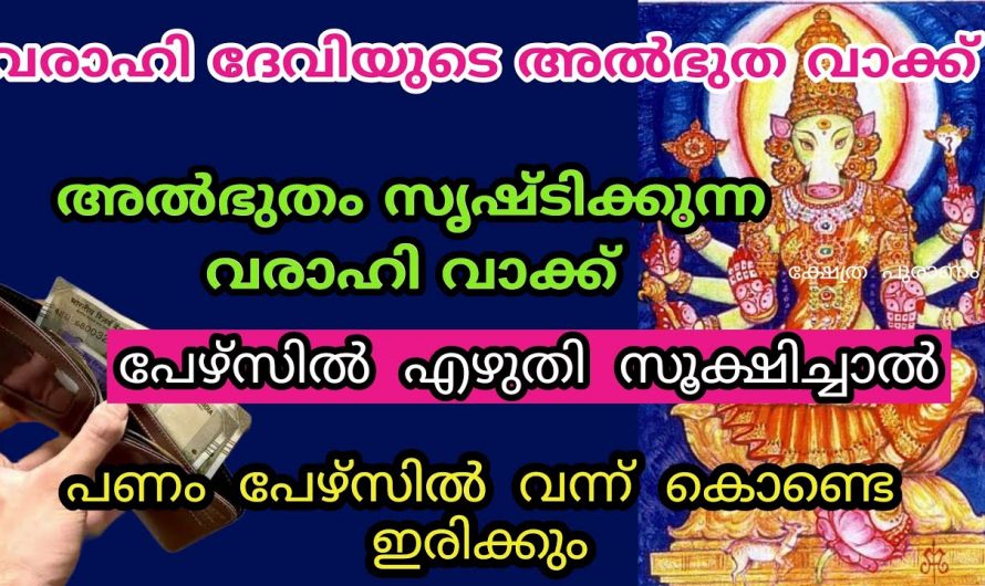 നിങ്ങളുടെ പേഴ്സിൽ പണം ഇരട്ടിക്കാനായി ഇതുമാത്രം ചെയ്താൽ മതി എന്നാൽ പ്രത്യേകം ശ്രദ്ധിക്കേണ്ട ചില കാര്യങ്ങളുമുണ്ട്