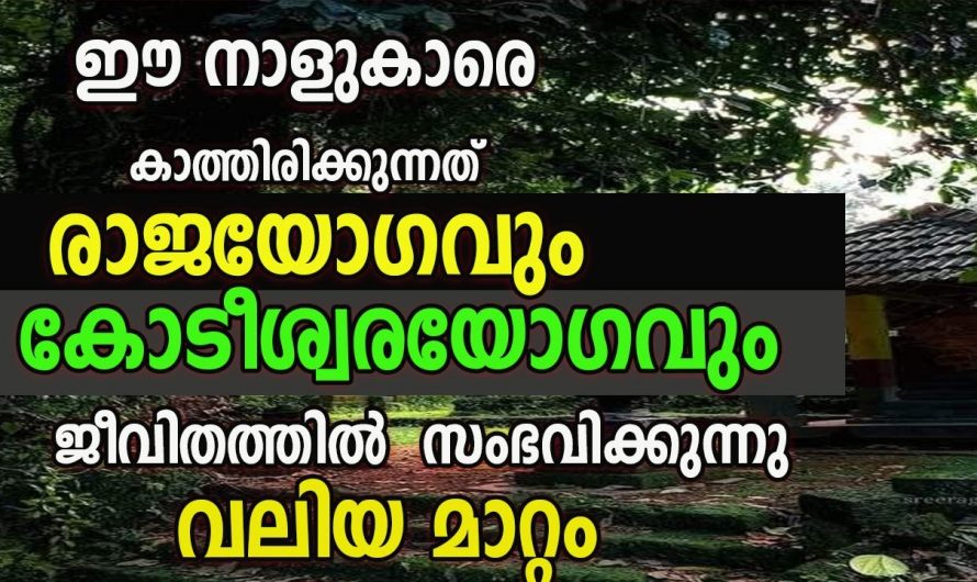 ഈ നക്ഷത്രക്കാർക്ക് രാജയോഗം തേടി വരുന്നതാണ് ആ സമയം ഇവർ ഒരിക്കലും ഇത്തരത്തിലുള്ള കാര്യങ്ങൾ ചെയ്യരുത്