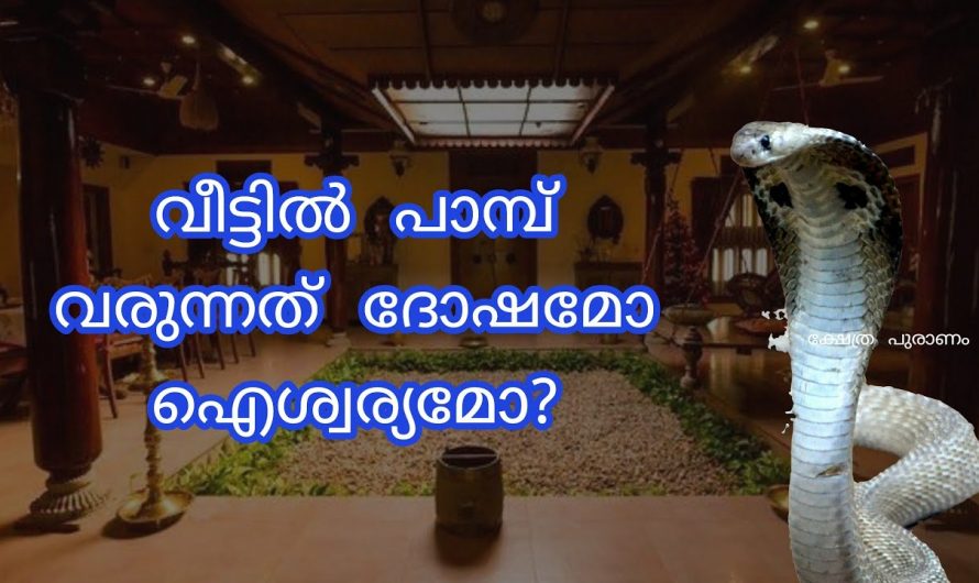 പാമ്പുകളെ നിങ്ങടെ വീടുകളിൽ ഇത്തരത്തിൽ കാണുകയാണെങ്കിൽ ഈ പറയുന്ന ലക്ഷണങ്ങളാണ് ഉള്ളത്