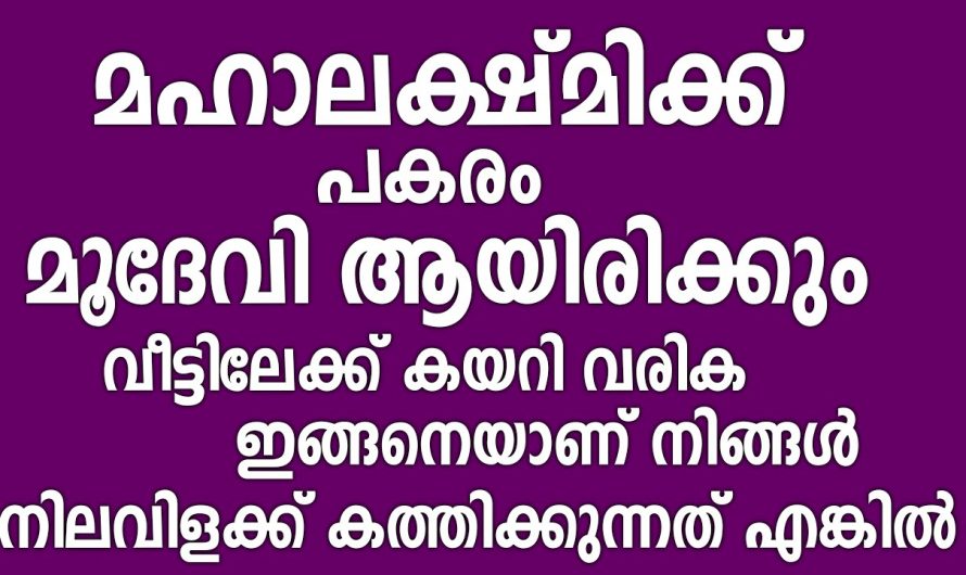 മഹാലക്ഷ്മിയുടെ അനുഗ്രഹം ലഭിക്കാൻ നിങ്ങൾ ഇങ്ങനെ മാത്രം ചെയ്താൽ മതി