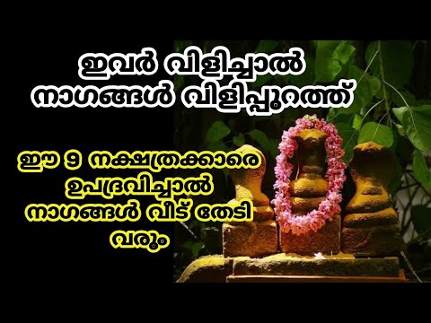 ഈ നക്ഷത്രക്കാർ നാഗദൈവങ്ങളോട് പ്രാർത്ഥിച്ചാൽ ജീവിതത്തിലെ എല്ലാ കഷ്ടപ്പാടുകളും മാറും