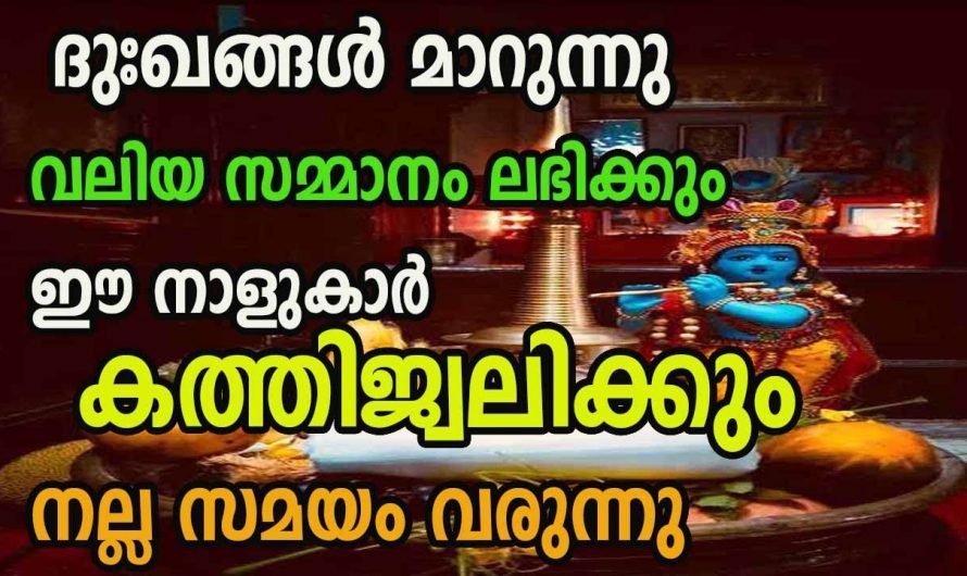 ഈ നക്ഷത്രക്കാരുടെ ജീവിതത്തിലെ ഉയർച്ചകൾ കണ്ടാൽ കോരിതിരിച്ചു പോകും അത്രയേറെ ഉയർച്ചയാണ് ഉണ്ടാകാൻ പോകുന്നത്