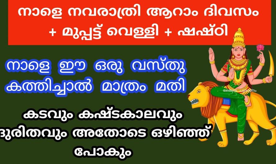 നവരാത്രിയുടെ ഈ ദിവസം സ്ത്രീകൾ കൈ മൈലാഞ്ചി നോക്കൂ തീർച്ചയായും അവരെ കാത്തിരിക്കുന്നത് സൗഭാഗ്യമാണ്