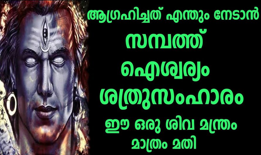 ഈയൊരു മന്ത്രം ജപിച്ചു കഴിഞ്ഞാൽ നിങ്ങളുടെ ജീവിതത്തിലെ സകലമാന പ്രശ്നങ്ങൾ ഇല്ലാതാകും