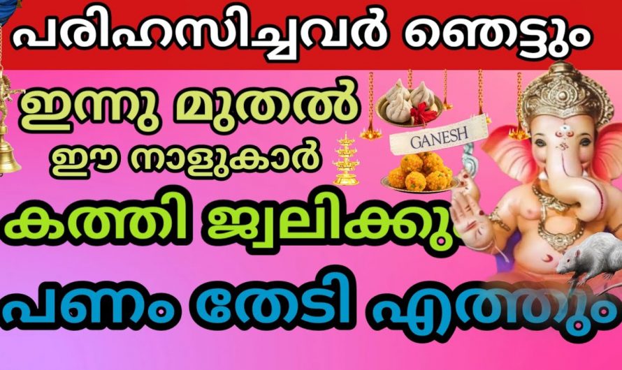 ഈ നക്ഷത്രക്കാരെ ഇനി ഒരിക്കലും പിടിച്ചാൽ കിട്ടില്ല അത്രയേറെ ഭാഗ്യമാണ് ഈ നക്ഷത്രക്കാർക്ക്