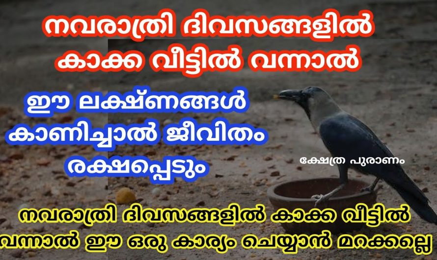 ഈ വിശേഷപ്പെട്ട ദിവസങ്ങളിൽ കാക്ക ഇത്തരത്തിലുള്ള ലക്ഷണങ്ങൾ കാണിക്കുന്നുണ്ടെങ്കിൽ തീർച്ചയായും ശുഭകരം