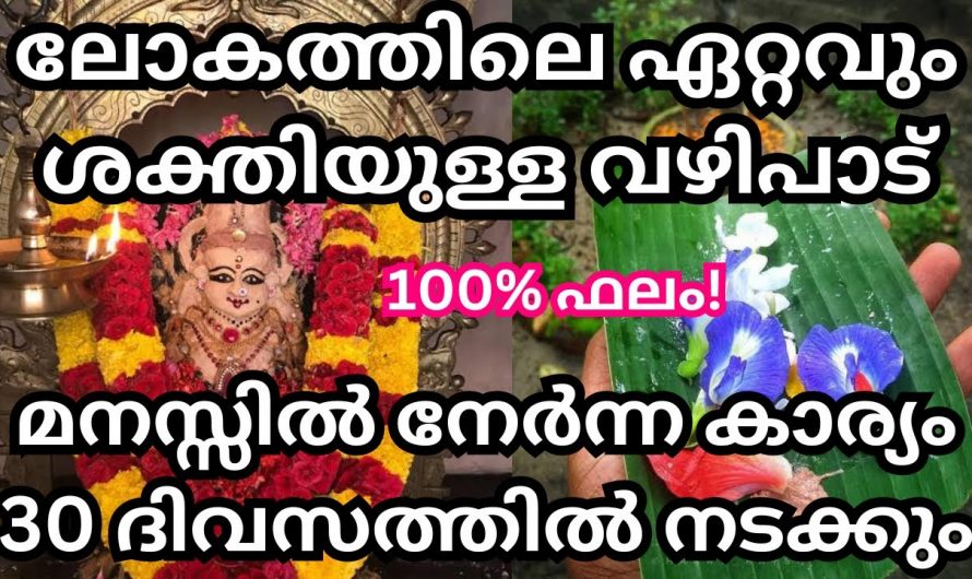 കലിയുഗം ജീവിതത്തിൽ കലിതുള്ളി നിൽക്കുന്ന സമയത്ത് ജീവിതം സുരക്ഷിതമാക്കാൻ ഈ വഴിപാട് ചെയ്താൽ മാത്രം മതി