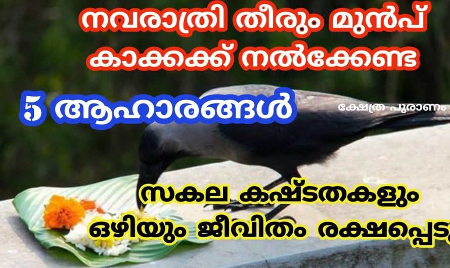 നവരാത്രി ദിവസങ്ങളിൽ കാക്ക വീട്ടിൽ വരുമ്പോൾ നിങ്ങൾ ചെയ്യേണ്ട ചില കാര്യങ്ങൾ