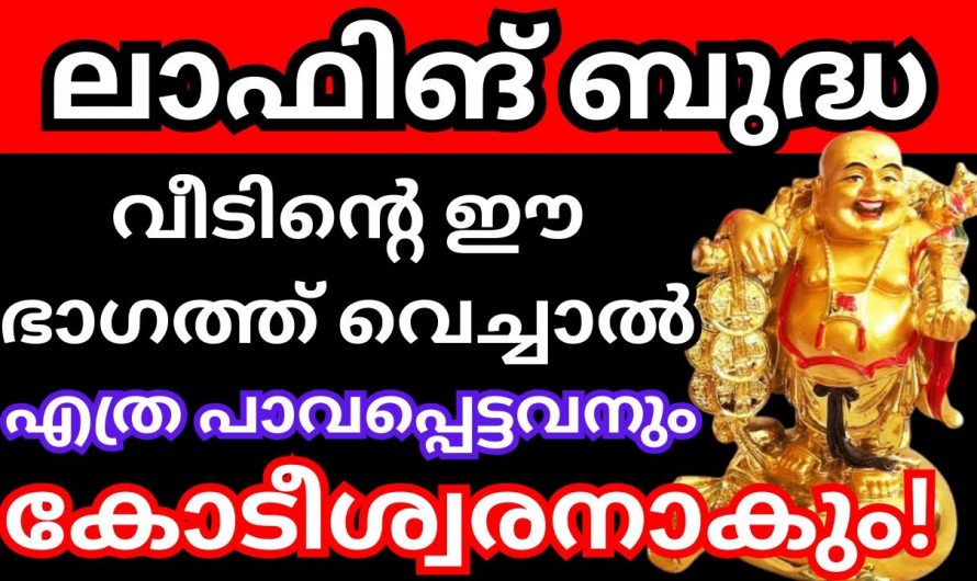 വീടുകളിൽ ലാഫിംഗ് ബുദ്ധ വാങ്ങി വയ്ക്കുമ്പോൾ പ്രധാനമായും ശ്രദ്ധിക്കേണ്ടത് ഇവയാണ്