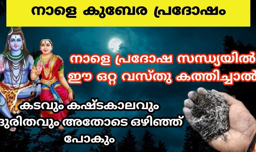 ദൃഷ്ടി ദോഷം ശത്രു ദോഷം ഉണ്ടെങ്കിൽ ഇതൊന്നു ചെയ്തു നോക്കൂ ജീവിതത്തിൽ പോസിറ്റീവ് എനർജി ഉണ്ടാകും