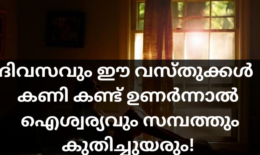 ദിവസവും ഇത്തരം വസ്തുക്കൾ കണി കാണുകയാണെങ്കിൽ തീർച്ചയായും നിങ്ങളുടെ ജീവിതം ഉയർന്നു കിട്ടും