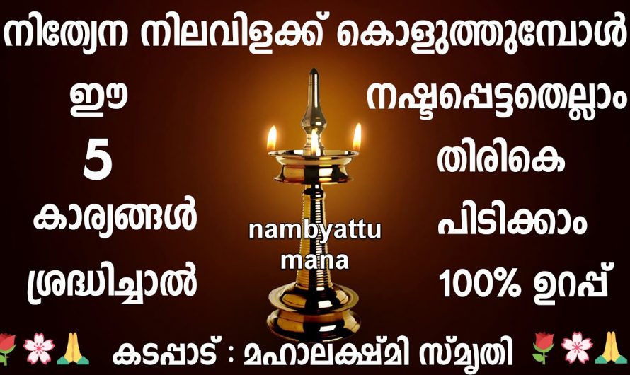 നിങ്ങളുടെ ഓരോരുത്തരുടെയും വീടുകളിൽ മഹാലക്ഷ്മി വരാൻ ഈ ഒരു കാര്യം ചെയ്താൽ മാത്രം മതി