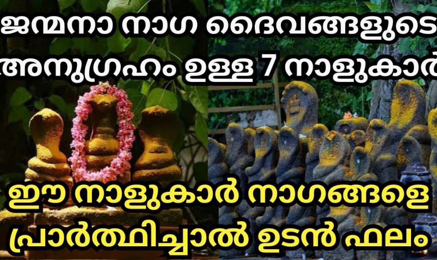 നാഗങ്ങളുടെ അനുഗ്രഹം ലഭിച്ചിട്ടുള്ള ഈ നക്ഷത്രക്കാർ തീർച്ചയായും മുടങ്ങാതെ ഈ വഴിപാടുകൾ ചെയ്യുക