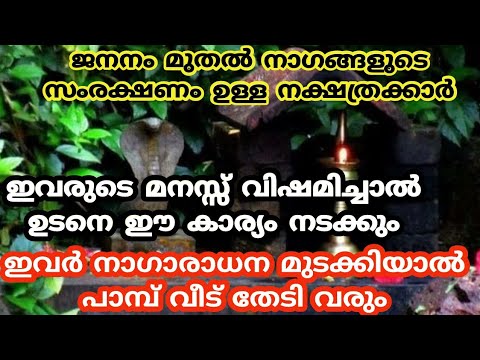 ജനനം മുതൽ ഈ നക്ഷത്രക്കാർക്ക് നാഗങ്ങളുടെ അനുഗ്രഹം ഉള്ളവരാണ് എന്നാൽ ഇവർ തീർച്ചയായും ശ്രദ്ധിക്കേണ്ട ചില കാര്യങ്ങൾ