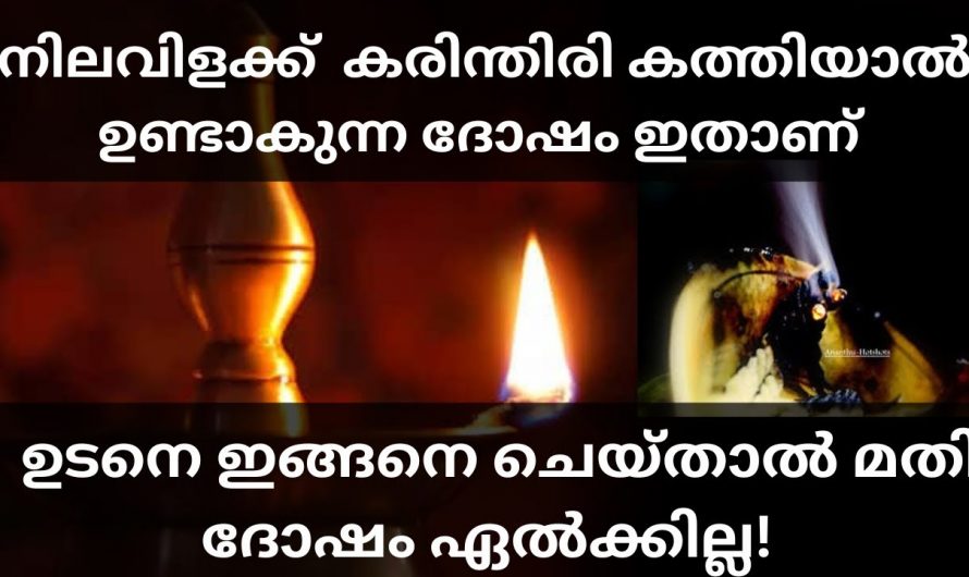 ദിവസവും വിളക്ക് കത്തിക്കുന്നവരാണെങ്കിൽ കരിന്തിരി കത്താൻ പാടില്ല അങ്ങനെയെങ്കിൽ ജീവിതത്തിൽ വലിയ അനർത്ഥങ്ങൾ സംഭവിക്കും