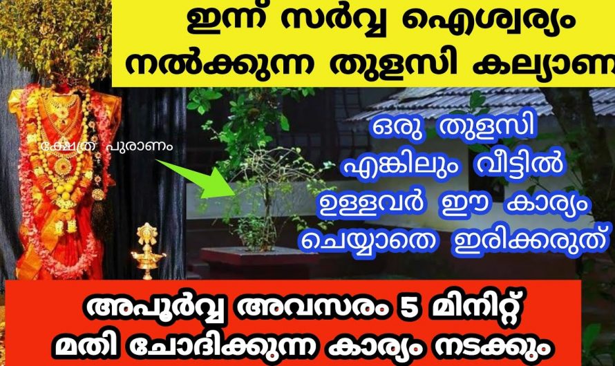 നല്ലൊരു വരനെയും വധുവിനെയും നിങ്ങൾക്ക് ലഭിക്കണോ എന്നാൽ ഈ പൂജ ഒരിക്കലും മുടങ്ങരുത് അത്രയും നല്ലൊരു ദിവസം ഇനി നിങ്ങൾക്ക് കിട്ടില്ല