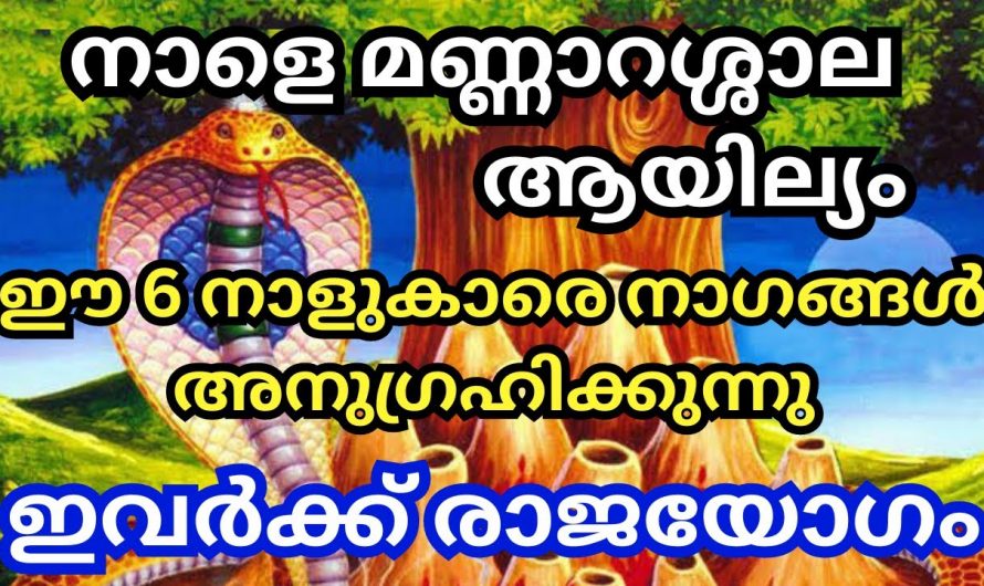 ആയില്യദിവസം ഈ നക്ഷത്രക്കാർക്ക് ഇനി രാജയോഗം