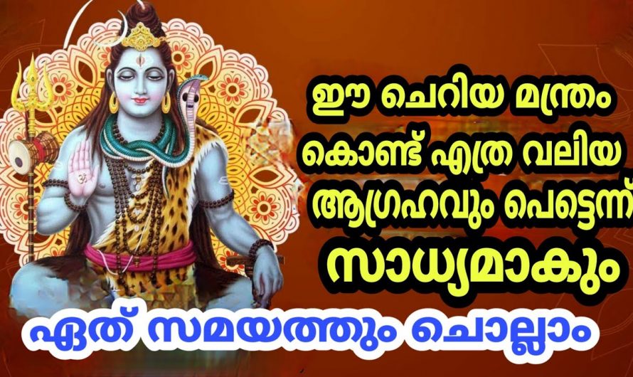 ജീവിതത്തിലെ ഈ ഒരു ആഗ്രഹം സാധിച്ചു കിട്ടണമെങ്കിൽ ഈ കുട്ടി മന്ത്രം ജപിച്ചാൽ മതി