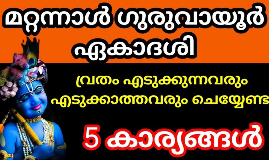 നിങ്ങൾ ഏകാദശി വ്രതം എടുക്കാത്തവരാണോ എന്നാൽ തീർച്ചയായും ഇത് ഒന്ന് അറിഞ്ഞിരിക്കുക