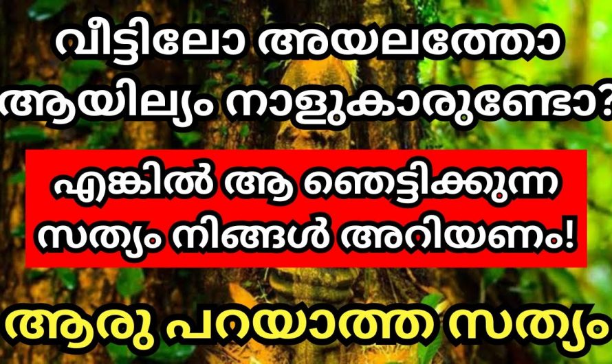 ആയില്യം നക്ഷത്രക്കാരെ കുറിച്ച് നിങ്ങൾ അറിയാതെ പോകരുത്