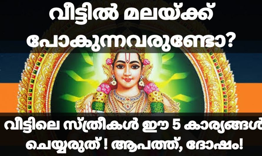 ശബരിമലയ്ക്ക് പോകാൻ മാലയിട്ട് കഴിഞ്ഞാൽ ഓരോ വീട്ടിലും നിങ്ങൾ ചെയ്യേണ്ടത് ഇങ്ങനെയാണ്