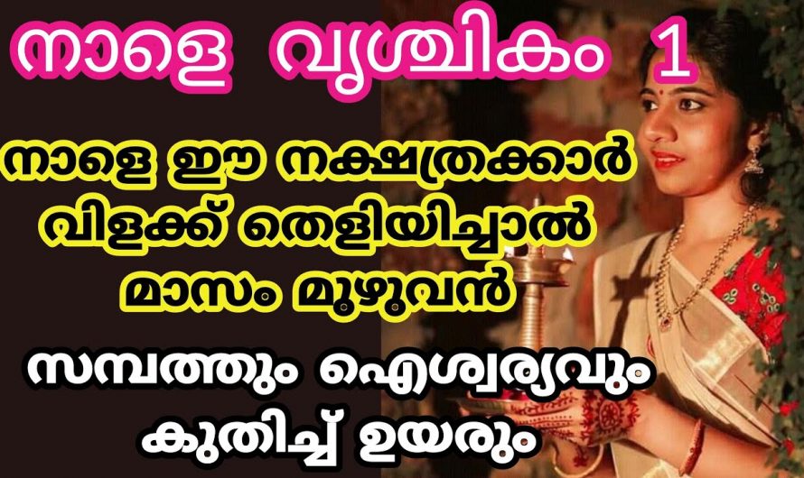 ഈ നക്ഷത്രക്കാർ വിളക്ക് കത്തിച്ച് പ്രാർത്ഥിച്ചാൽ ആ വീട്ടുകാർക്ക് തന്നെ വളരെയേറെ ഉത്തമം