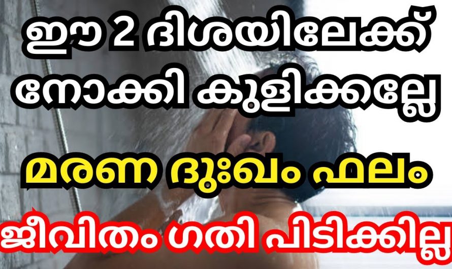 നിങ്ങൾ ദിവസവും കുളിക്കുമ്പോൾ ഈ രണ്ട് ദിശയിലേക്ക് ഒരിക്കലും നോക്കി കുളിക്കാൻ പാടില്ല