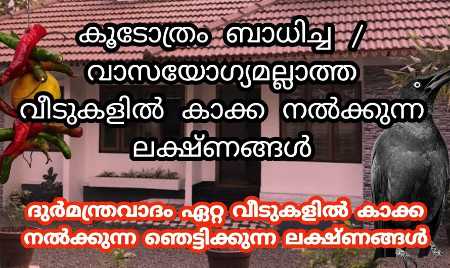 ദുരത്മാവിന്റെ സാന്നിധ്യമോ അല്ലെങ്കിൽ ചാത്തൻ സേവയോ നടന്നിട്ടുണ്ടെങ്കിൽ ഇത്തരം ലക്ഷണങ്ങൾ നിങ്ങളുടെ വീടുകളിൽ ഉണ്ടാകും