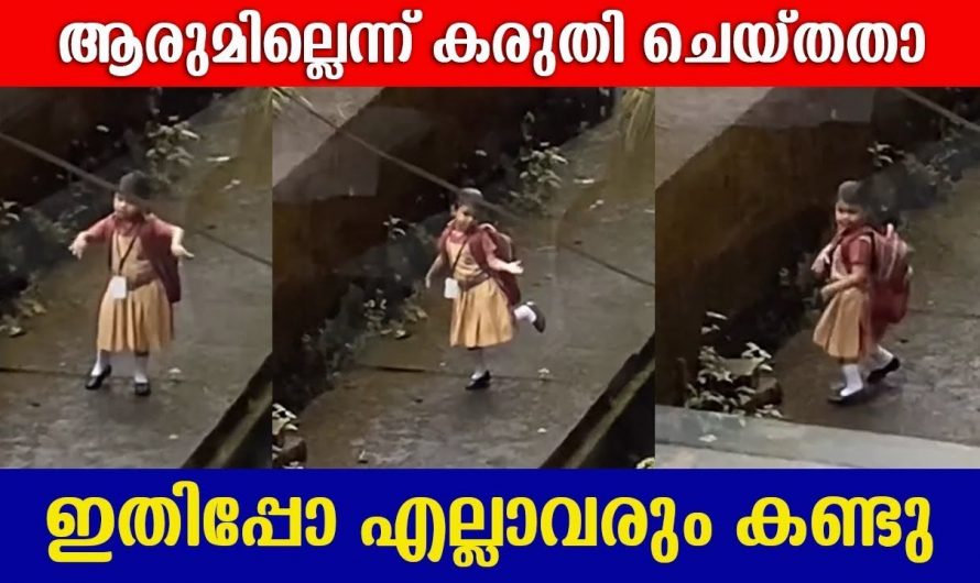 ഒരിക്കൽ കൂടി ഒരു ബാല്യം കിട്ടണമെന്ന് ആഗ്രഹിച്ചു പോകും ഈ ഒരു വീഡിയോ കണ്ടുകഴിഞ്ഞാൽ