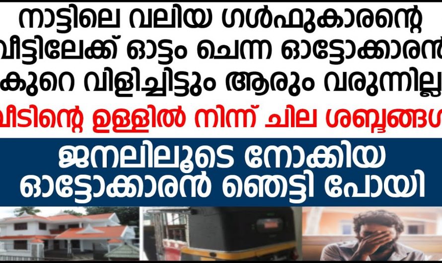 ഒരു ഓട്ടോ ഡ്രൈവർക്ക് വന്ന വിവാഹാലോചന പക്ഷേ ആ ഓട്ടോ ഡ്രൈവർ ചെയ്തത് കണ്ടോ