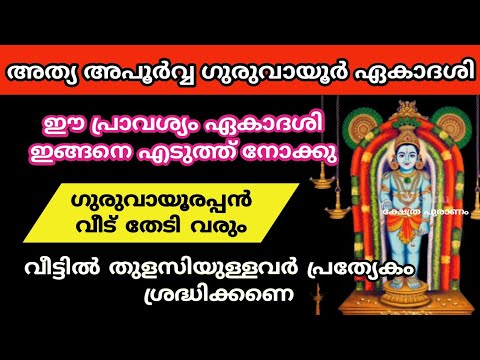 വരാൻ പോകുന്ന ഏകാദശിക്ക് നിങ്ങൾ ഇങ്ങനെ ചെയ്തു നോക്കൂ ജീവിതത്തിലെ മാറ്റങ്ങൾ നിങ്ങൾക്ക് തന്നെ കാണാം